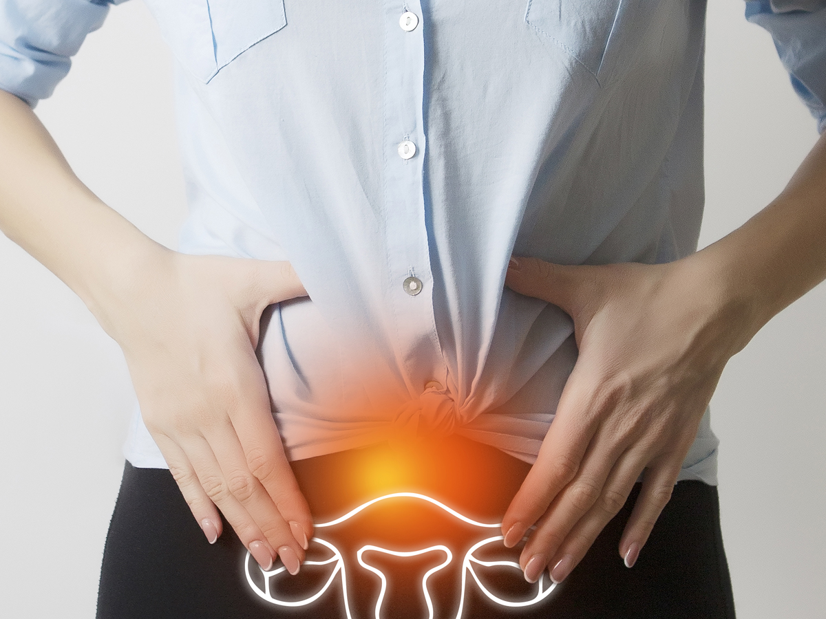 What is the Pelvic Floor Muscles?